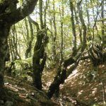 Sergio FernaÌndez Caridad 1